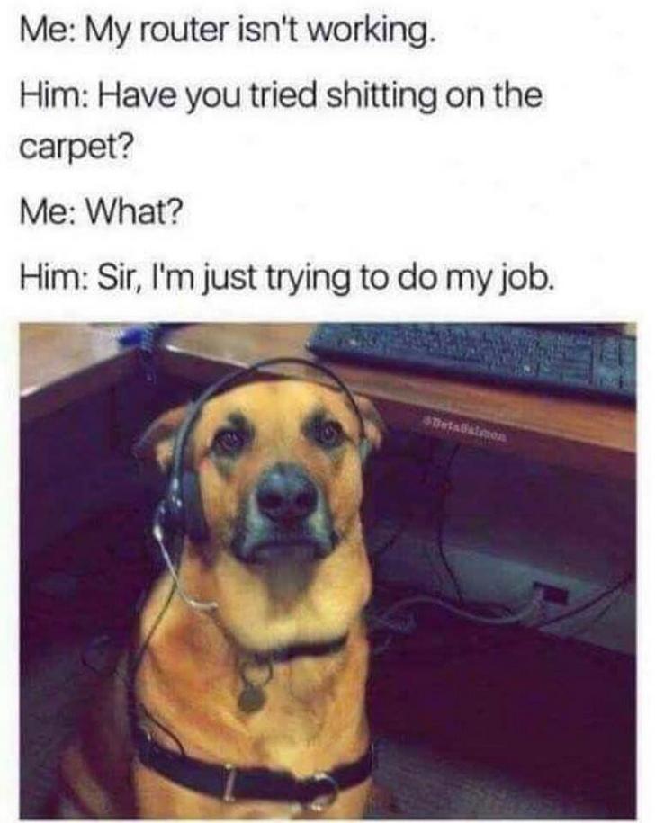 dog meme - sir i m just trying to do my job - Me My router isn't working. Him Have you tried shitting on the carpet? Me What? Him Sir, I'm just trying to do my job.