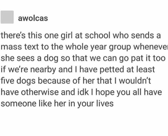 know you re in love - awolcas there's this one girl at school who sends a mass text to the whole year group whenever she sees a dog so that we can go pat it too if we're nearby and I have petted at least five dogs because of her that I wouldn't have other