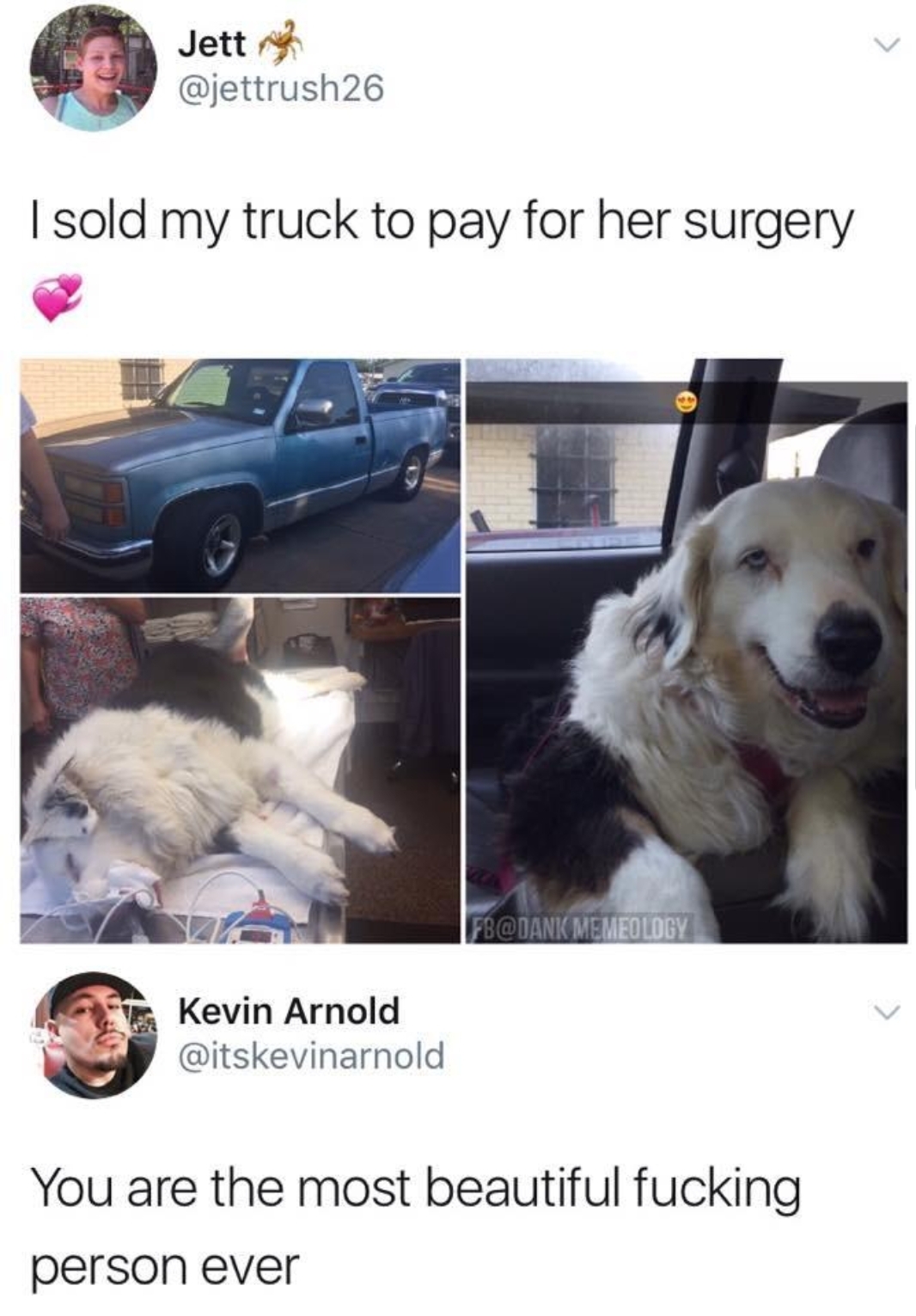 sold my truck for dogs surgery - Jett I sold my truck to pay for her surgery 3GBANI Meme Boy Kevin Arnold You are the most beautiful fucking person ever