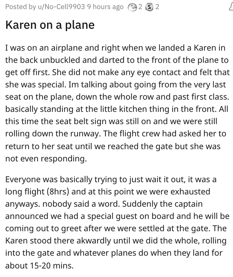 Fed-Up Pilot Humiliates an Entitled Karen on His Plane