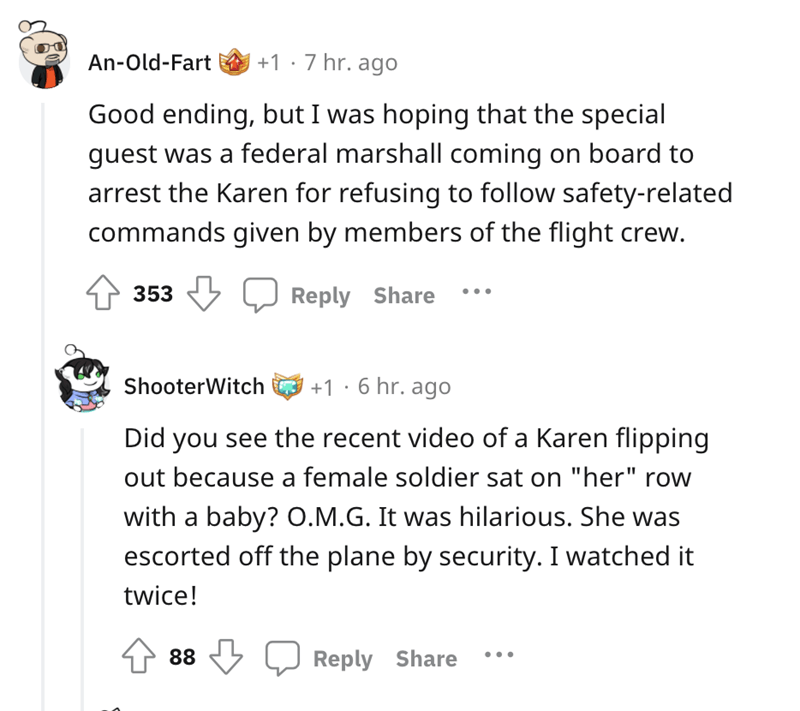 Fed-Up Pilot Humiliates an Entitled Karen on His Plane