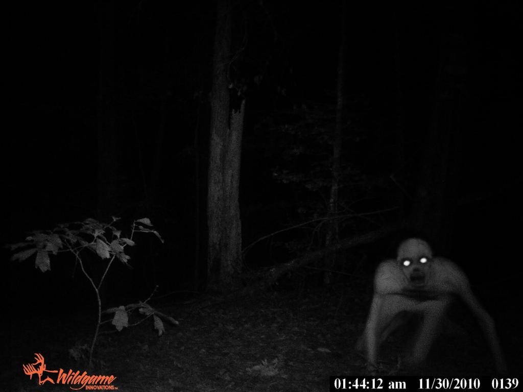 Creature that was photographed by a deer-stand camera near Berwick, Louisiana.  Is it a ghost? A ghoul? An alien? A swamp monster?