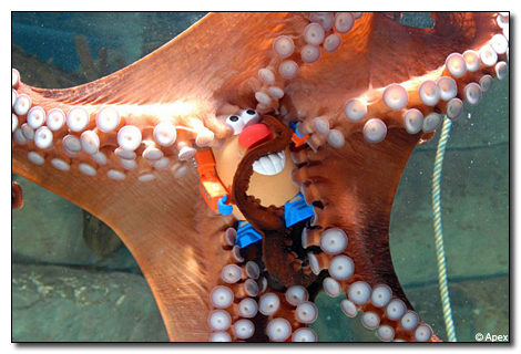 octopus mr potato head