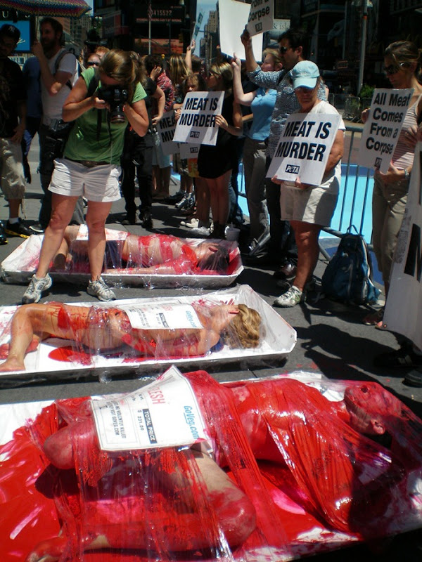 Animal Rights Protest in Barcelona