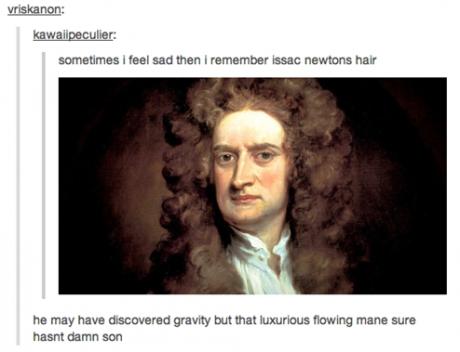 history memes - vriskanon kawalipeculier sometimes I feel sad then I remember issac newtons hair he may have discovered gravity but that luxurious flowing mane sure hasnt damn son
