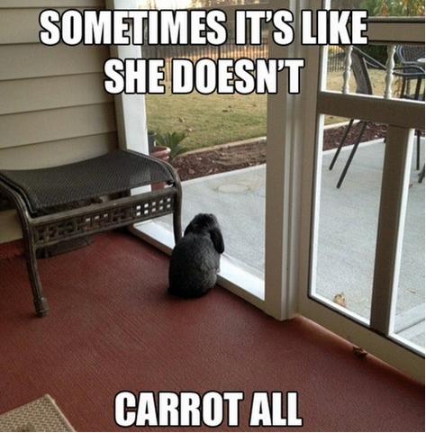 roy timmreck - Sometimes It'S She Doesn'T Carrot All