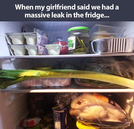 massive leek in the fridge meme - When my girlfriend said we had a massive leak in the fridge...