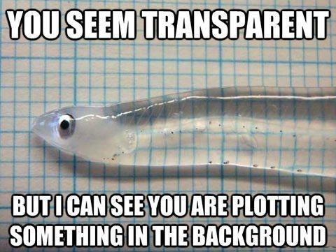 see what you are doing - You Seem Transparent But I Can See You Are Plotting Something In The Background