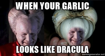 We were shopping in the vegetable impersonations section today and decided that Garlic Dracul was the takehome winner!