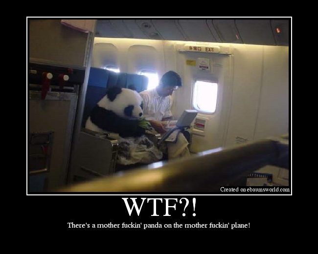 There's a mother fuckin' panda on the mother fuckin' plane!