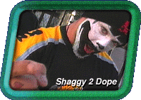 Shaggy 2 Dope