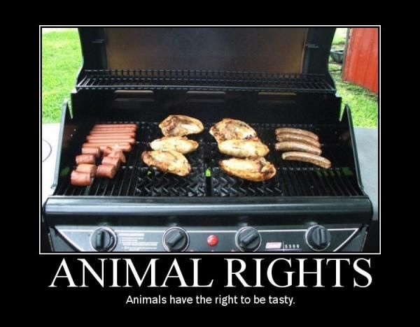 Because every animal has the right to taste good.