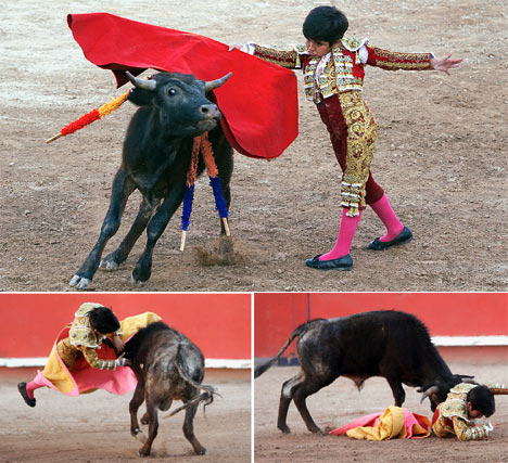 Bullfighting Mishaps WARNING GRAPHIC!!!