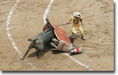 Bullfighting Mishaps WARNING GRAPHIC!!!