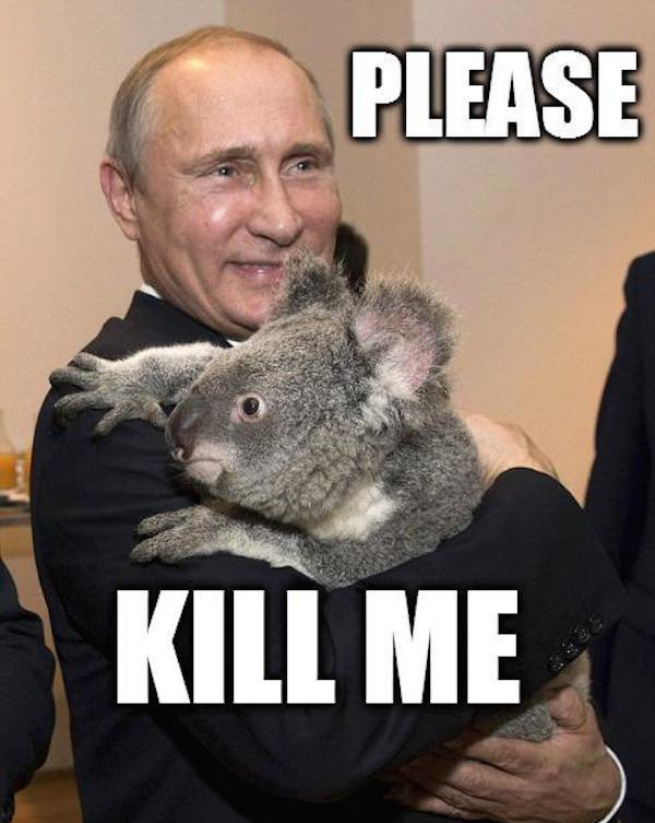 putin koala - Please Kill Me