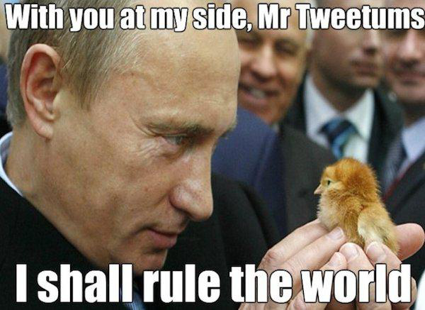 22 Putin Memes That Are Now Illegal In Russia