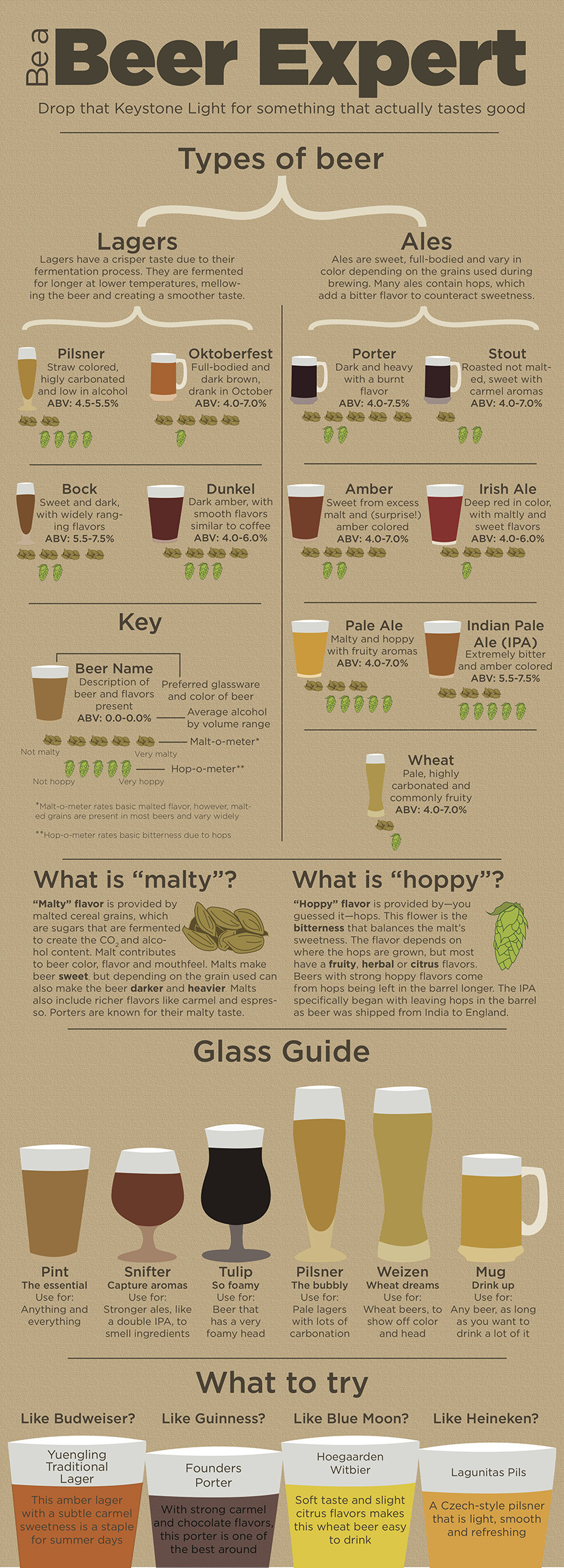 beer expert - Beer Expert Types of beer Lagers What is alty What is happy Glass Guide What to try