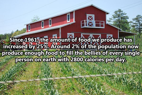 More Interesting Facts For Your Amusement
