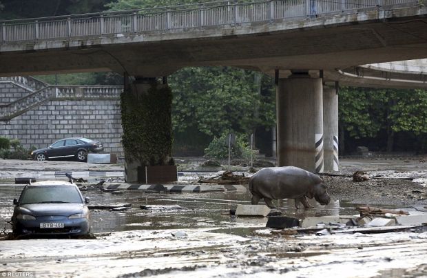 17 Pictures Of Terrible Flood In Georgia