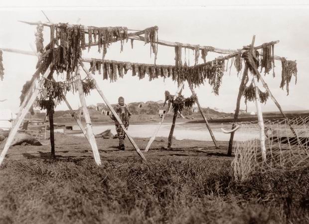 Eskimo drying meat after a good catch, Alaska 1929.