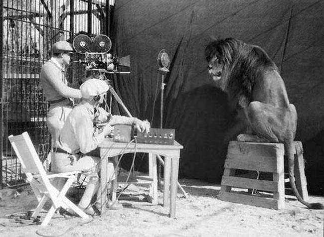 Filming the MGM lion.