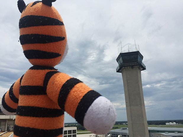 A boy lost this stuffed tiger going to Houston.