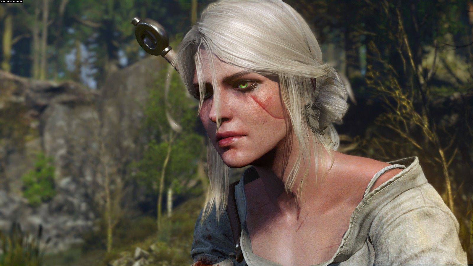 We can guess that Witcher 3 is the most influential video game of 2015.