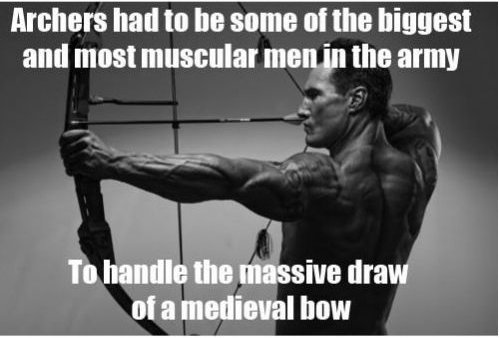 shoulder - Archers had to be some of the biggest and most muscular men in the army To handle the massive draw of a medieval bow
