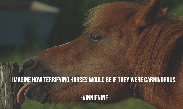 deep philosophical thoughts - Imagine How Terrifying Horses Would Be If They Were Carnivorous. Vinnienine