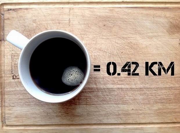 The equation is for a person of 65 Kg (143.2  Lb) running 10 km/h
(1 km = 0.621371 mile).