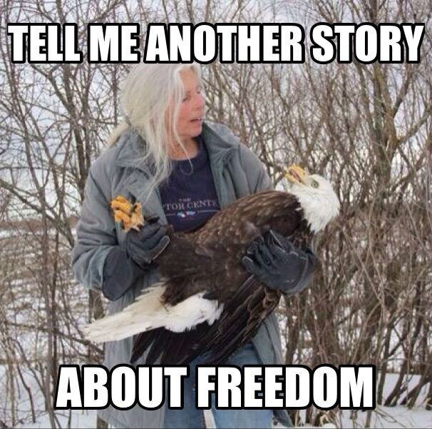 20 of The Best Murrica Pictures