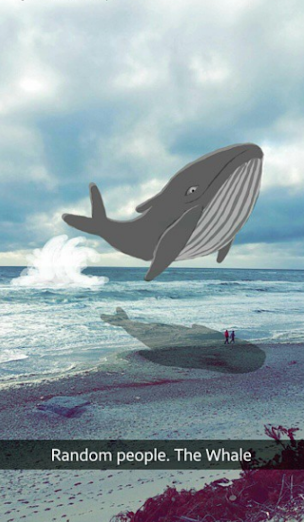 ocean drawings on snapchat - Random people. The Whale