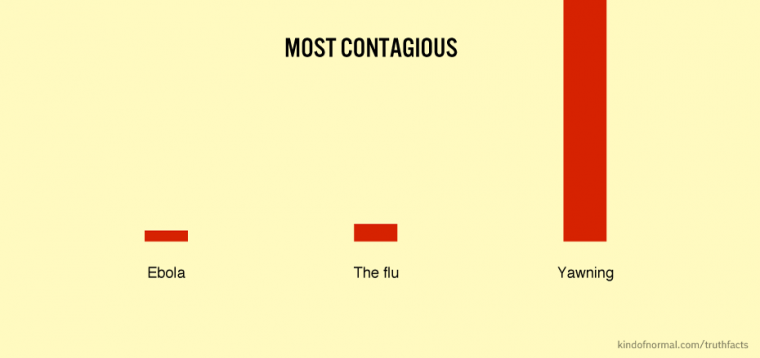 diagram - Most Contagious Ebola The flu Yawning kindofnormal.comtruthfacts