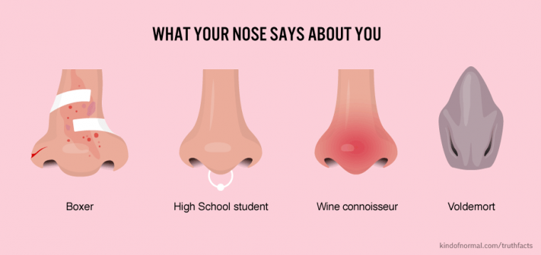 good customer service - What Your Nose Says About You Boxer High School student Wine connoisseur Voldemort kindofnormal.comtruthfacts