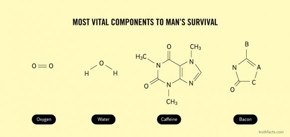 diagram - Most Vital Components To Man'S Survival CH3 H3C Ii Nyn , O 0 Onn CH3 Oxygen Water Caffeine Bacon truthfacts.com