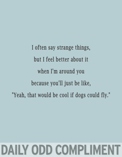 love daily odd compliment - I often say strange things, but I feel better about it when I'm around you because you'll just be , "Yeah, that would be cool if dogs could fly." Daily Odd Compliment