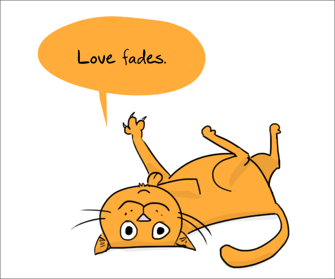 hard truths from cats - Love fades.