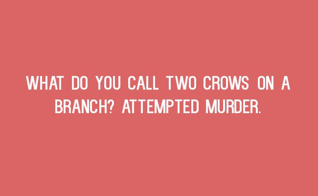 funny puns that make you laugh - What Do You Call Two Crows On A Branch? Attempted Murder.