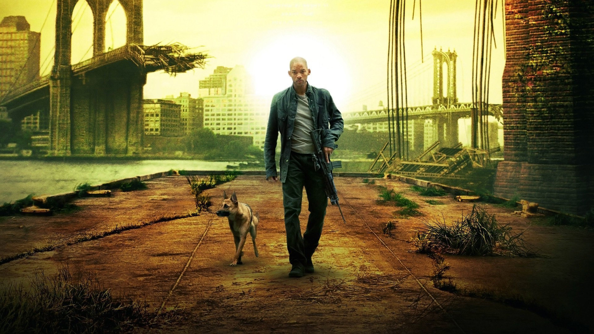 I am Legend has an alternative ending where Will Smith realizes the creatures just want the female back and have human feelings. When they take her back and leave peacefully Dr. Neville figures out they are just disfigured humans and he is a murderer.