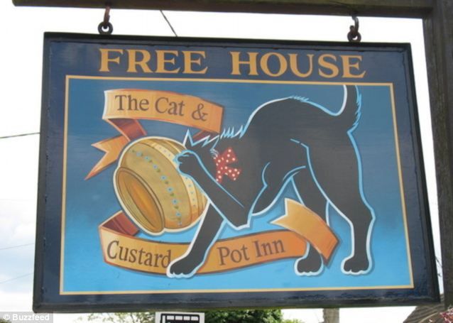 funny bar name british pub - Free House The Cat & Custard Pot Inn Buzzfeed Pood