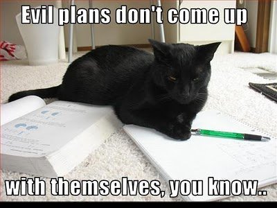 lolcat evil - Evil plans don't come up with themselves, you know..