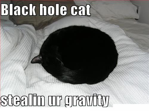 black hole cat - Black hole cat stealin ur gravity