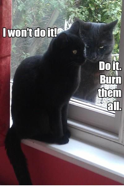 cat meme burn them all - I won't do it! Do it. Burn them