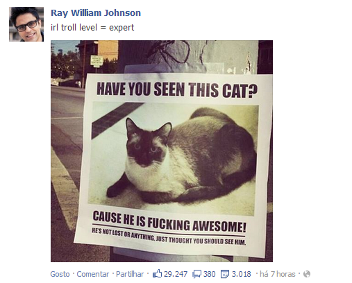have you seen this cat funny - Ray William Johnson irl troll level expert Have You Seen This Cat? Cause He Is Fucking Awesome! Ost Or Anything Just Thought You Should See Him Gosto. Comentar. Partilhar 29.247 380 3.018 h 7 horas
