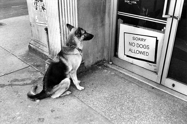 Americans are abiding laws and instructions. For example, if it says: "No dogs allowed" the dogs must stay outside; in Russia people laugh at signs like "Don't smoke", "Don't litter", etc.
