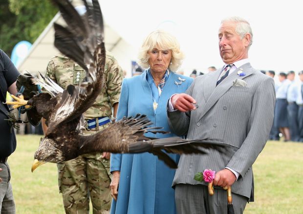 The eagle did not hurt the Prince but Charles' face was hilarious.