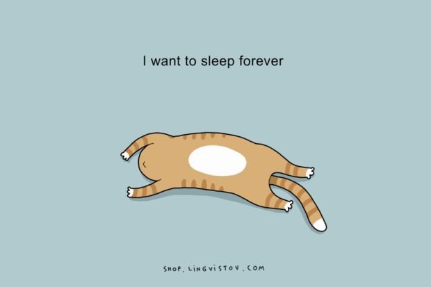 ugh morning - I want to sleep forever Shop. Lingvistov.Com