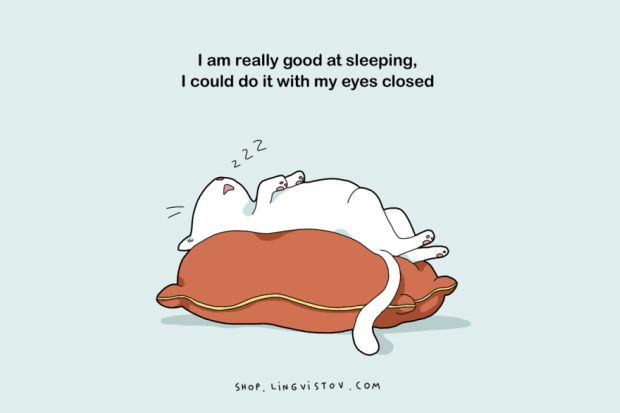 sleep lovers - I am really good at sleeping, I could do it with my eyes closed 222 Shop, Lingvistov.Com