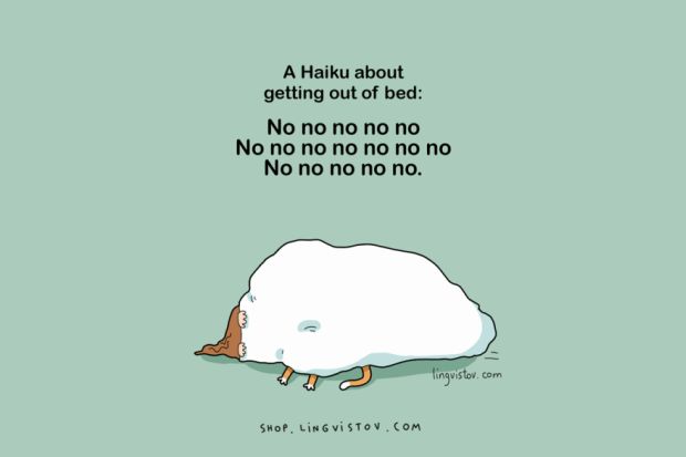 sleep funny - A Haiku about getting out of bed No no no no no No no no no no no no No no no no no. linguistov.com Shop. Lingvistov.Com