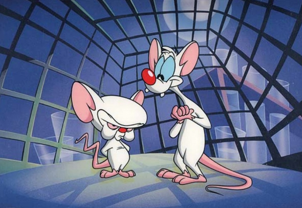 In "Pinky and the Brain" Pinky is the smart one. The theme song says: "One is a genius The other's insane"; Pinky appears stupid, not insane while Brain clearly does. Pinky always foils Brain's plans to take over the world, he outsmarts him EVERY time, and saves the world. Not to mention when Brain calculated what makes his plans go bad the answer was Pinky, but then Pinky corrected the equation which now showed it was Brain himself that is the cause of his failure. Pinky corrected a genius, which shows his smarts. Also Brain isn't very good at reading while Pinky has no problems with it.